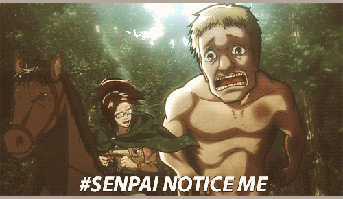 notice me senpai - aot