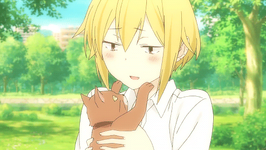 cute cat - tanaka